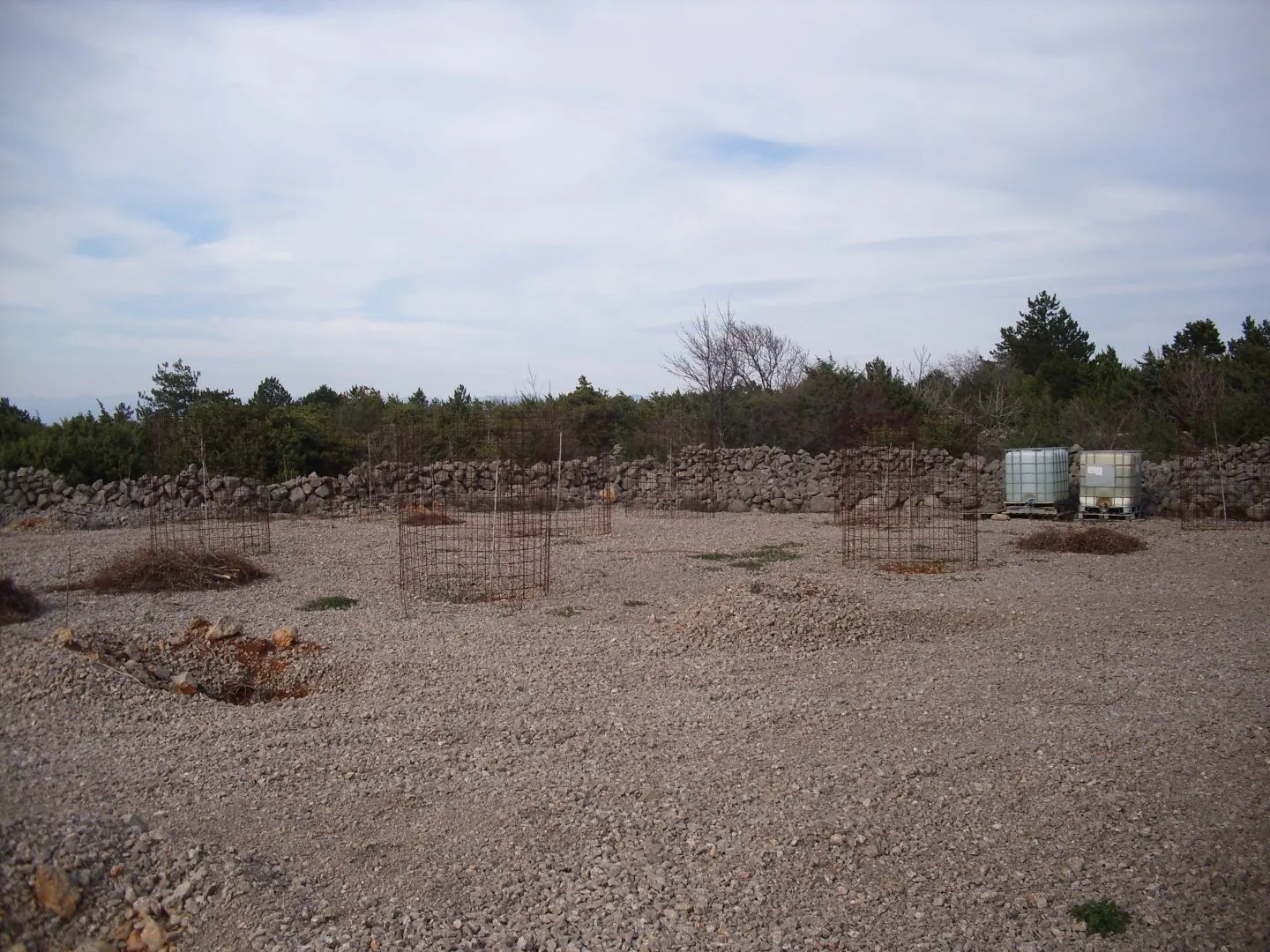 otok krk, punat - maslinik na 3620 m2 - slika 3