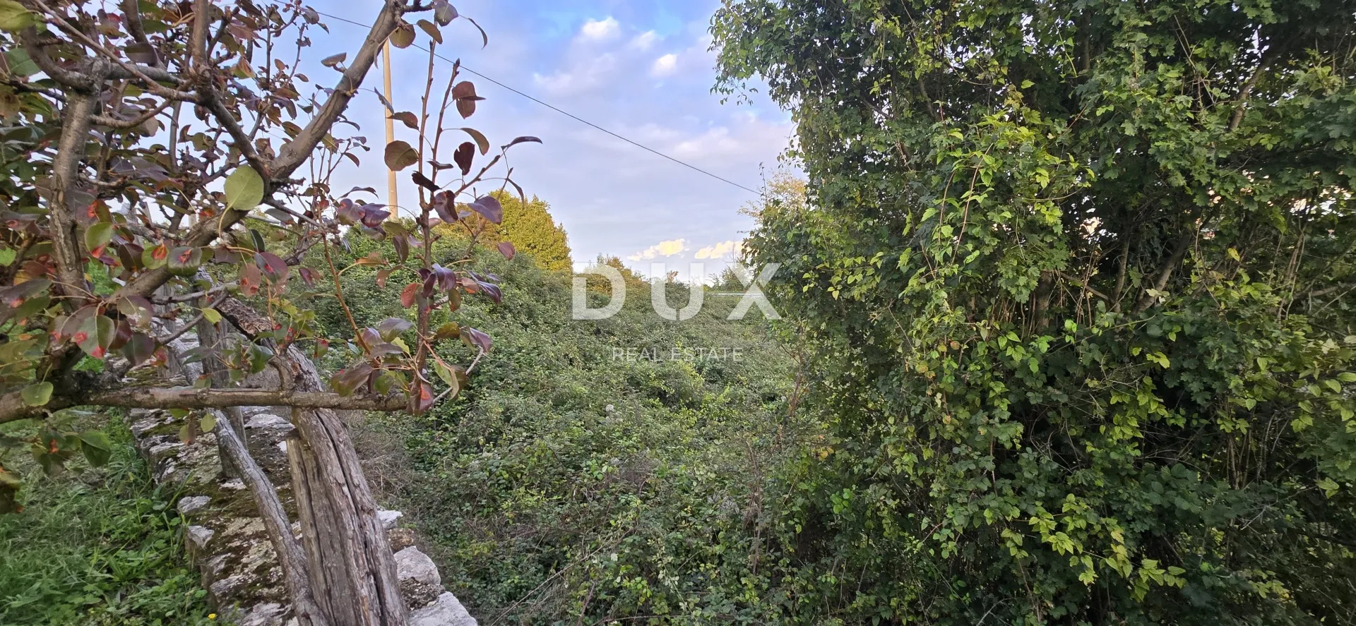 istra, gračišće - poljoprivredno zemljište, 511m2 - slika 5