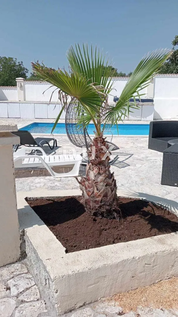 istra, marčana - obnovljena kuća s bazenom - slika 17