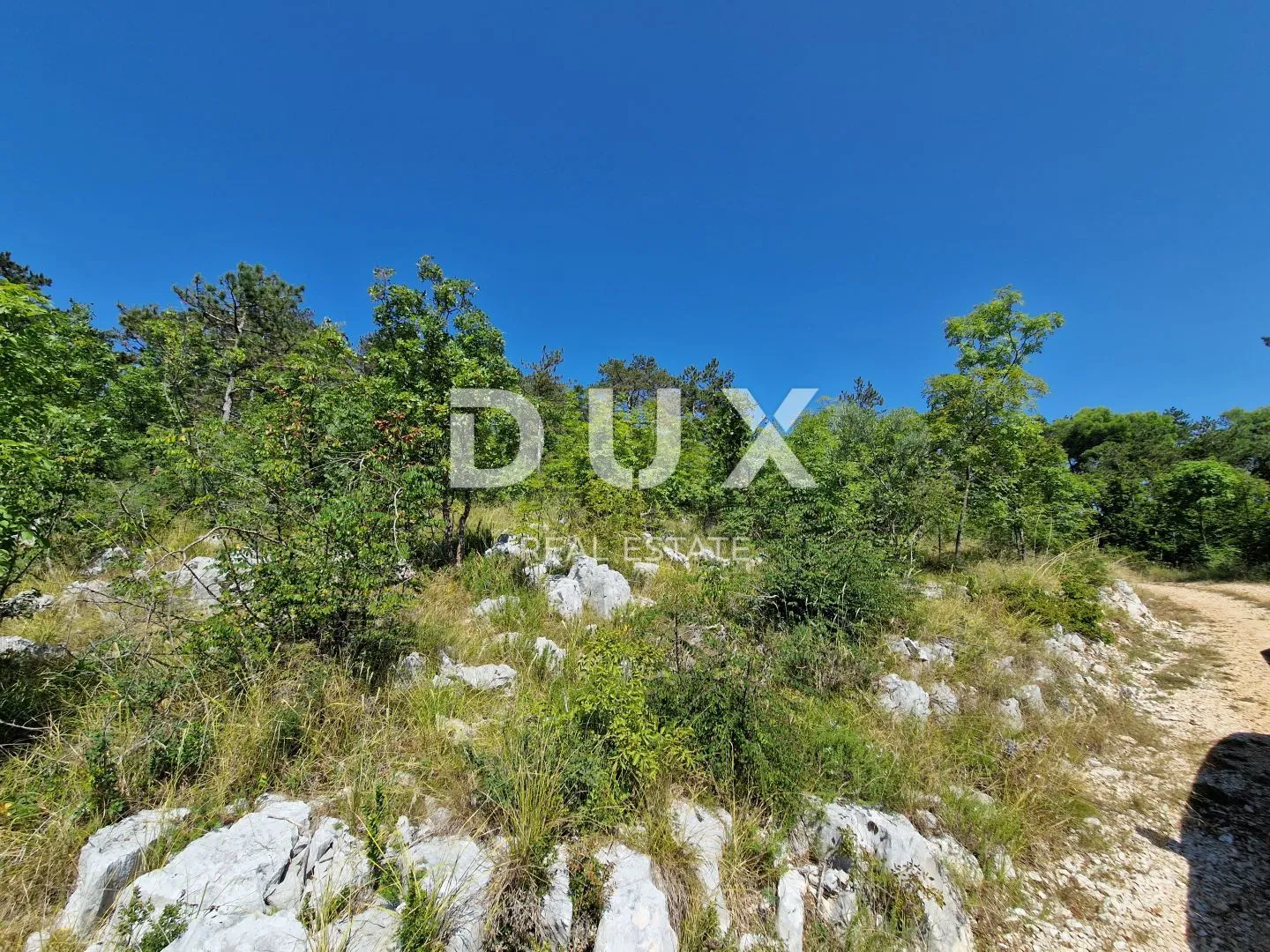istra, buzet - zemljište s panoramskim pogledom - slika 6