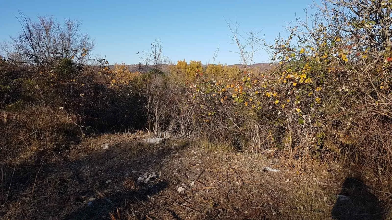 istra, vižinada - prostrano građevinsko zemljište na osami s panoramskim pogledom - slika 35