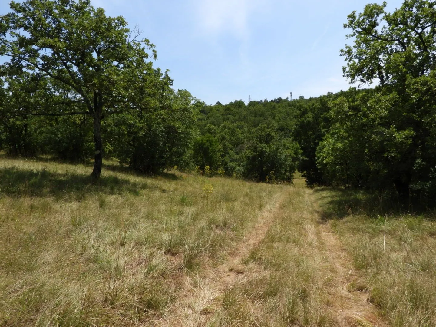 kukuljanovo industrijska zona - građevinski teren 4570m2 za halu / poslovnu zgradu - slika 15