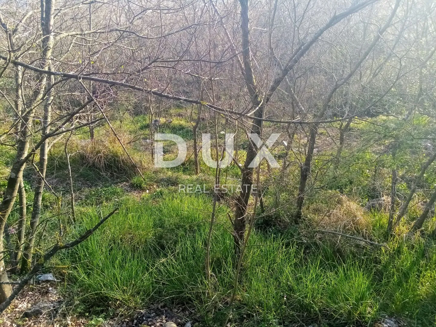 istra, labin - ruševina od 74 m2 s 2046 m2 građevinskog zemljišta - slika 4