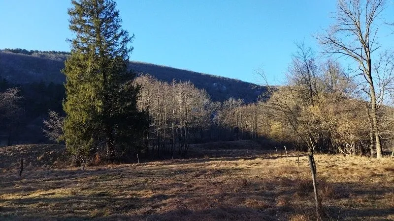 KLANA - ZEMLJIŠTE U PRIRODI!!! 9.011 m2