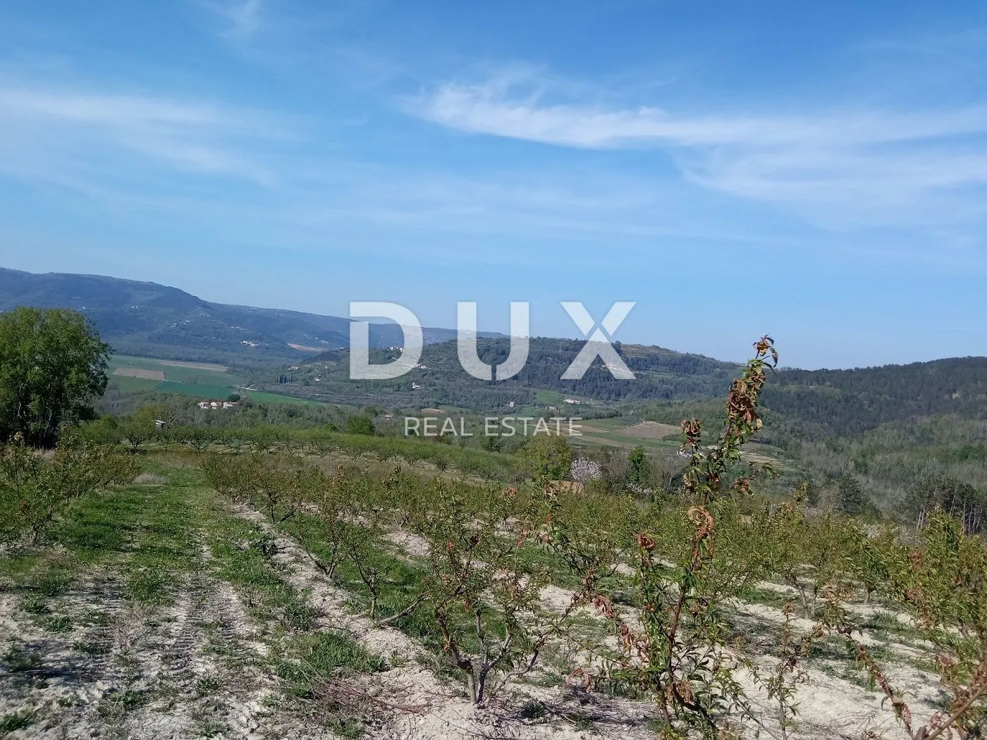 istra, motovun, zemljište, 3.597 m2, kompleks - slika 3