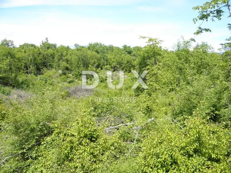 istra, labin - poljoprivredno zemljište 44000m2 sa ruševnim objektom - slika 6