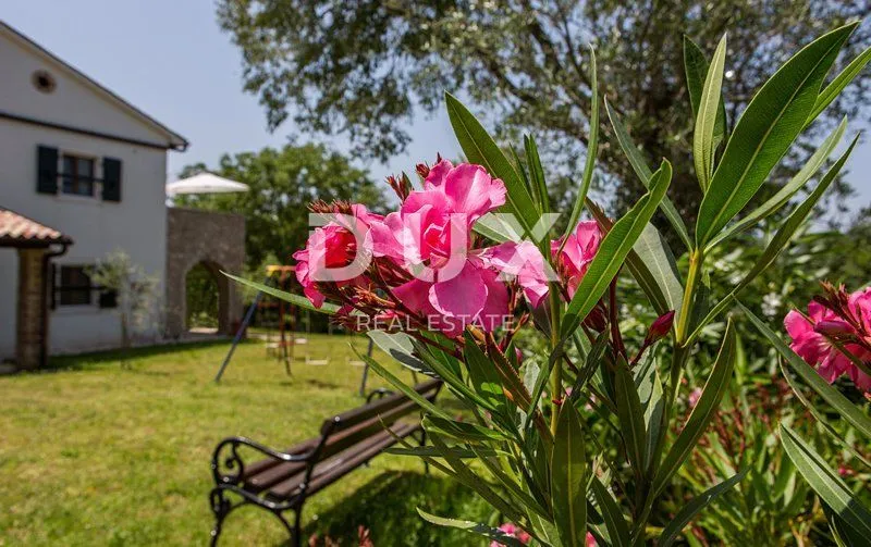 dvije prekrasne vile s bazenom na prostranoj okućnici - slika 43
