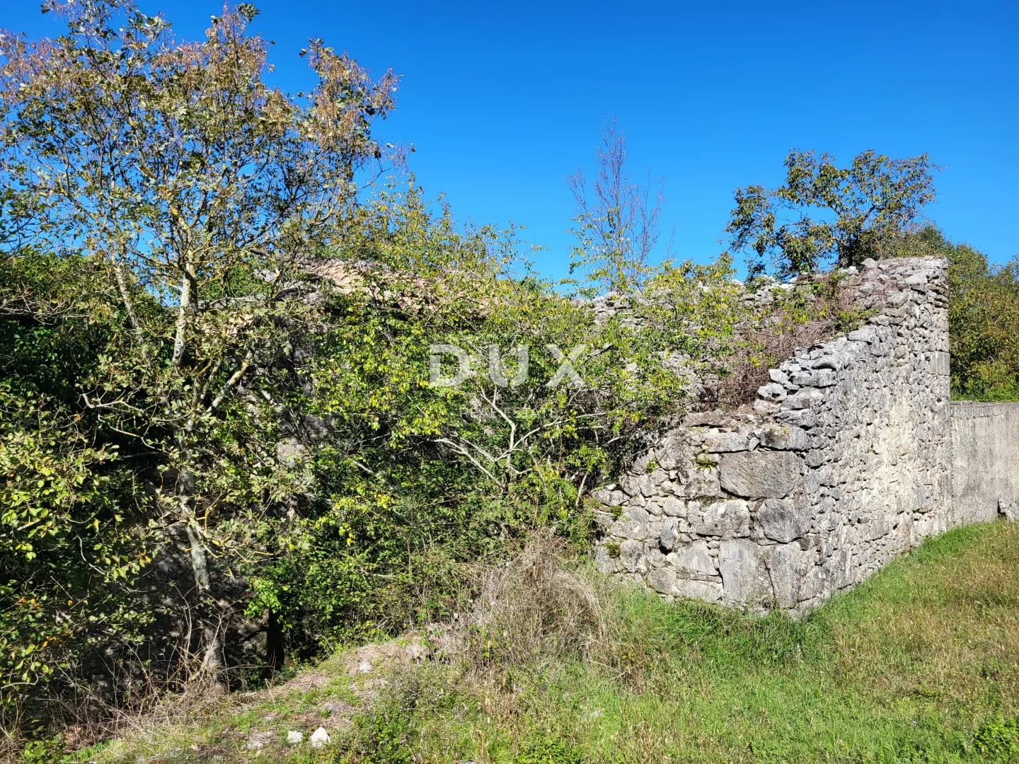 lupoglav, boljunsko polje, kamene kuće, 166 m2 - slika 4