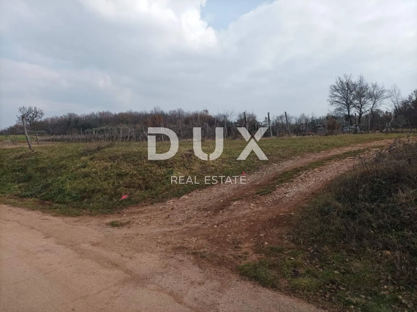 ISTRA, BUJE - poljoprivredna parcela, prva do građevinske zone, 4km od mora!