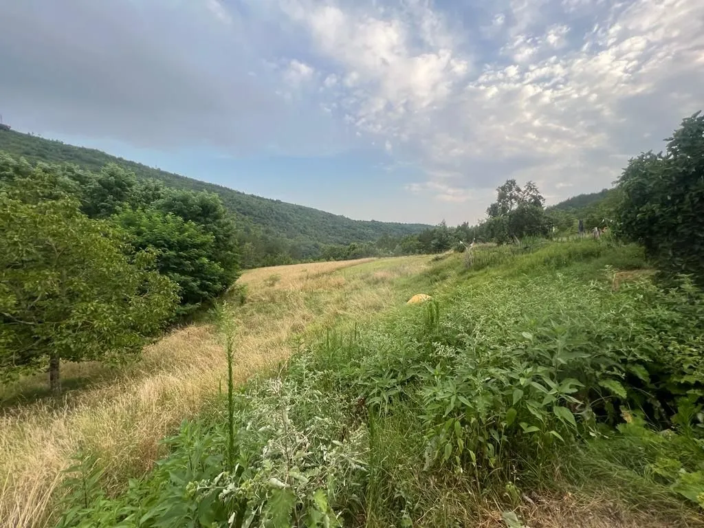 istra, sovinjak - ruševina + zemljište 57.356 m2 - slika 17