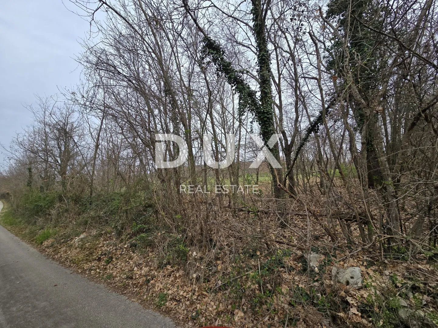 istra, labin - idilična livada - slika 15