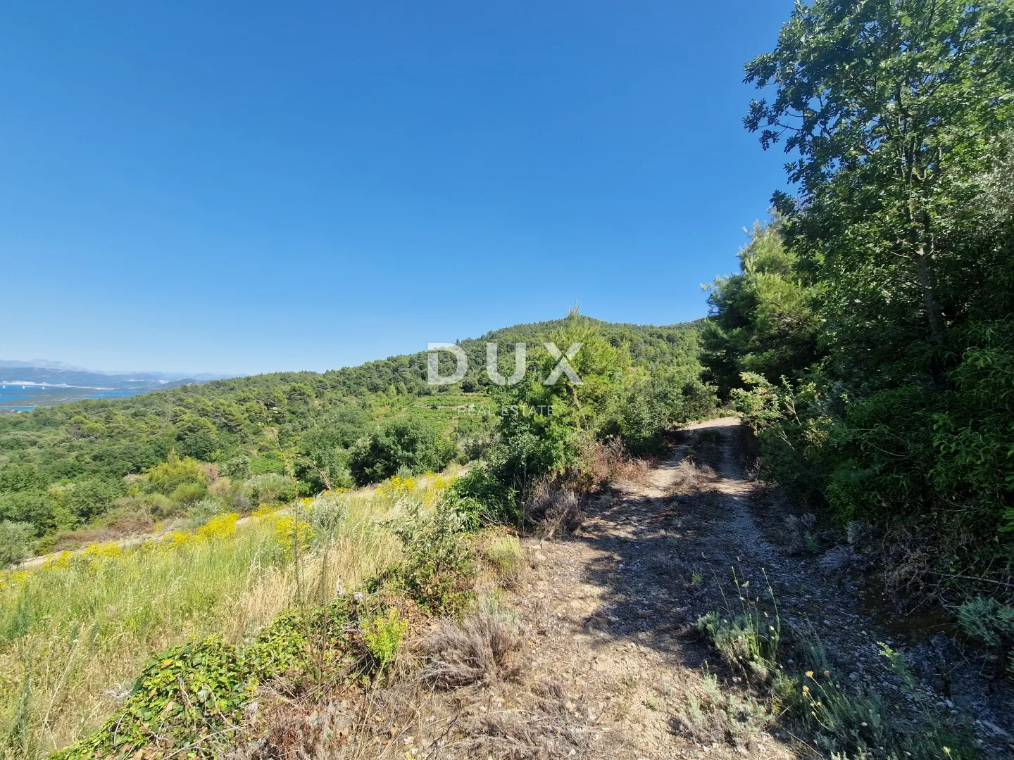 pelješac, popova luka, poljoprivredno zemljište 190.000m² - slika 16