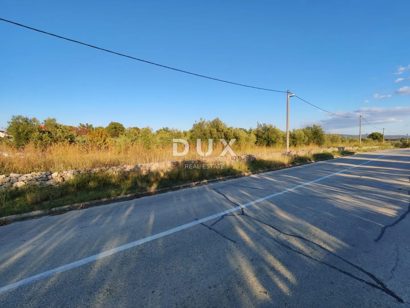 zadar, pridraga - prilika! maslinik na građevinskom terenu - slika 5