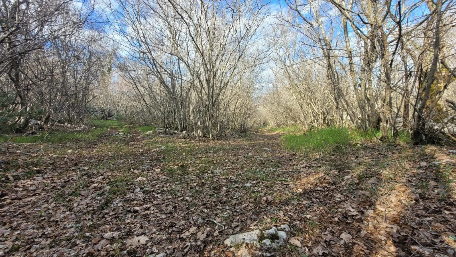OTOK KRK, GARICA - Veliko Poljoprivredno zemljište s pristupom za auto 5km od grada Krka! - Garica, Vrbnik