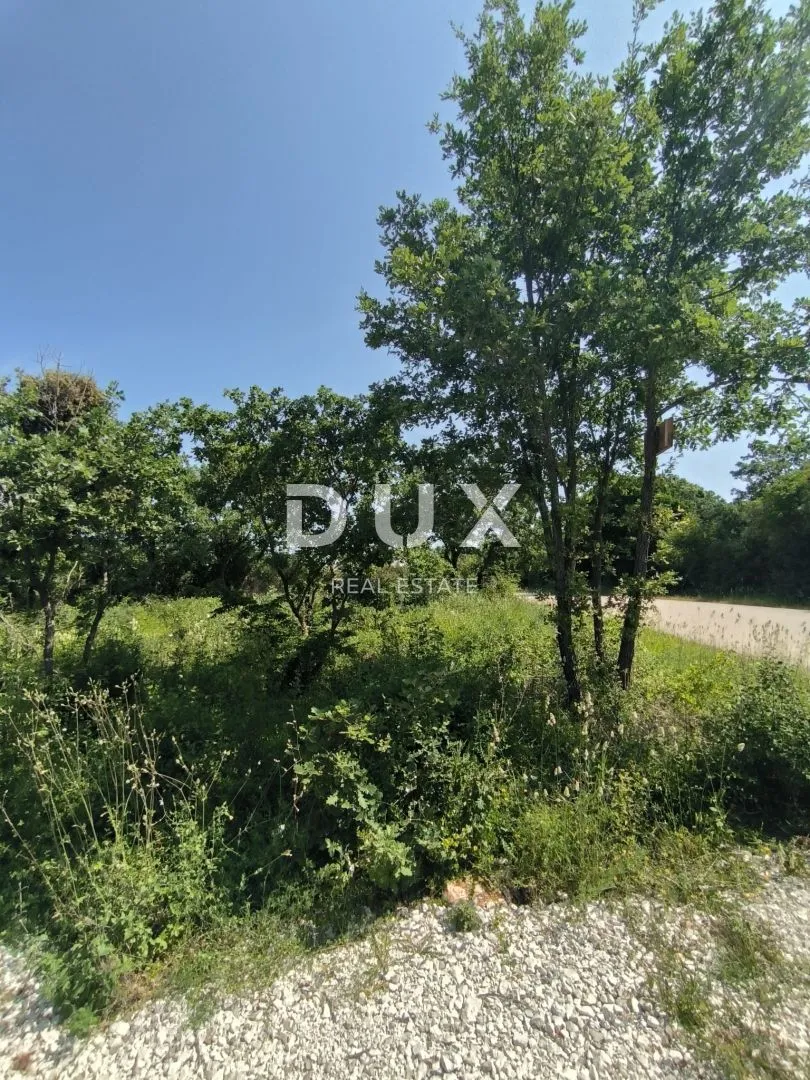 istra, peroj vikend parcela 2 km od mora! prilika! - slika 4