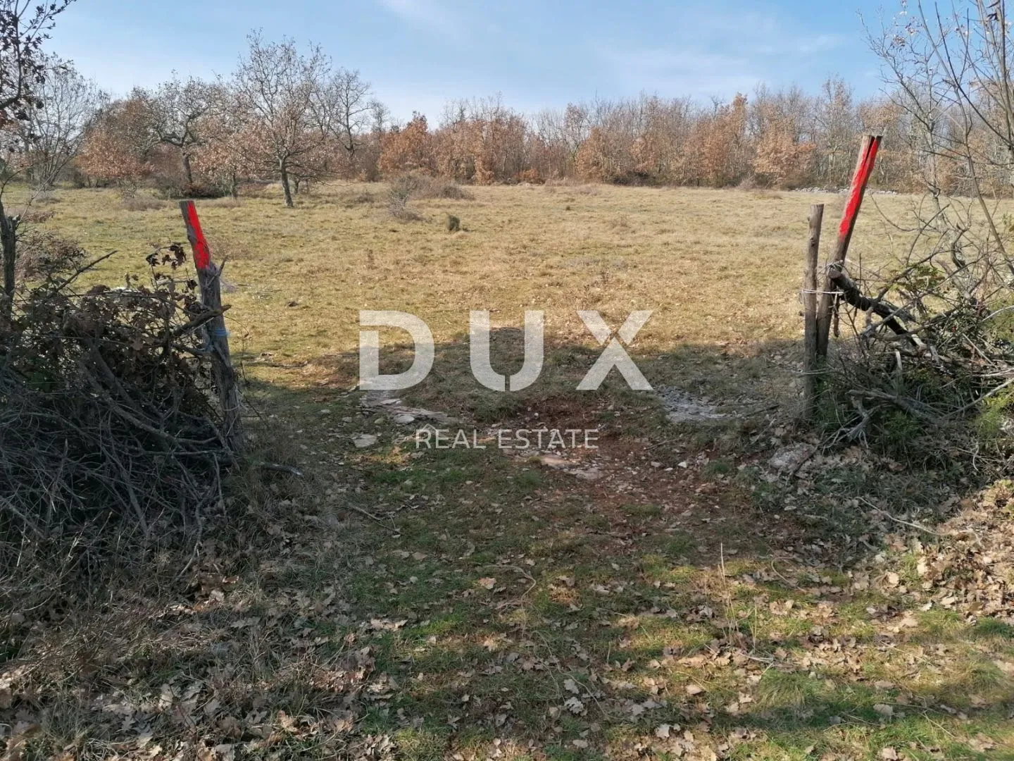 istra, višnjan - poljoprivredno zemljište, šuma - slika 3
