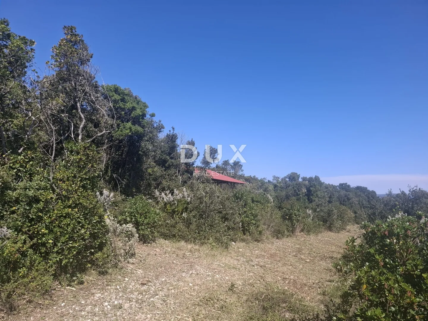 istra, pavićini, vikend zemljište, 550m2, 800m od mora - slika 2