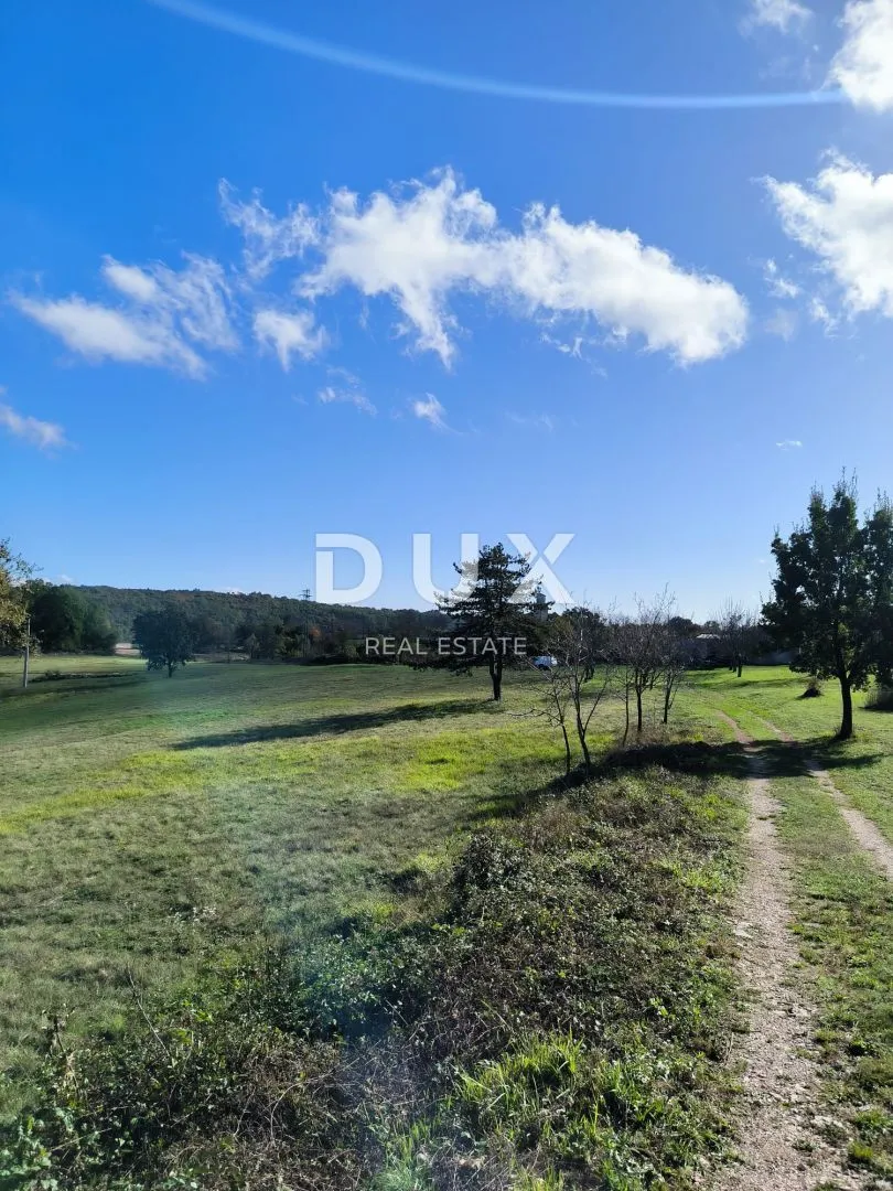 istra, tinjan - 10743 m2 građevinskog zemljišta s objektom! - slika 3