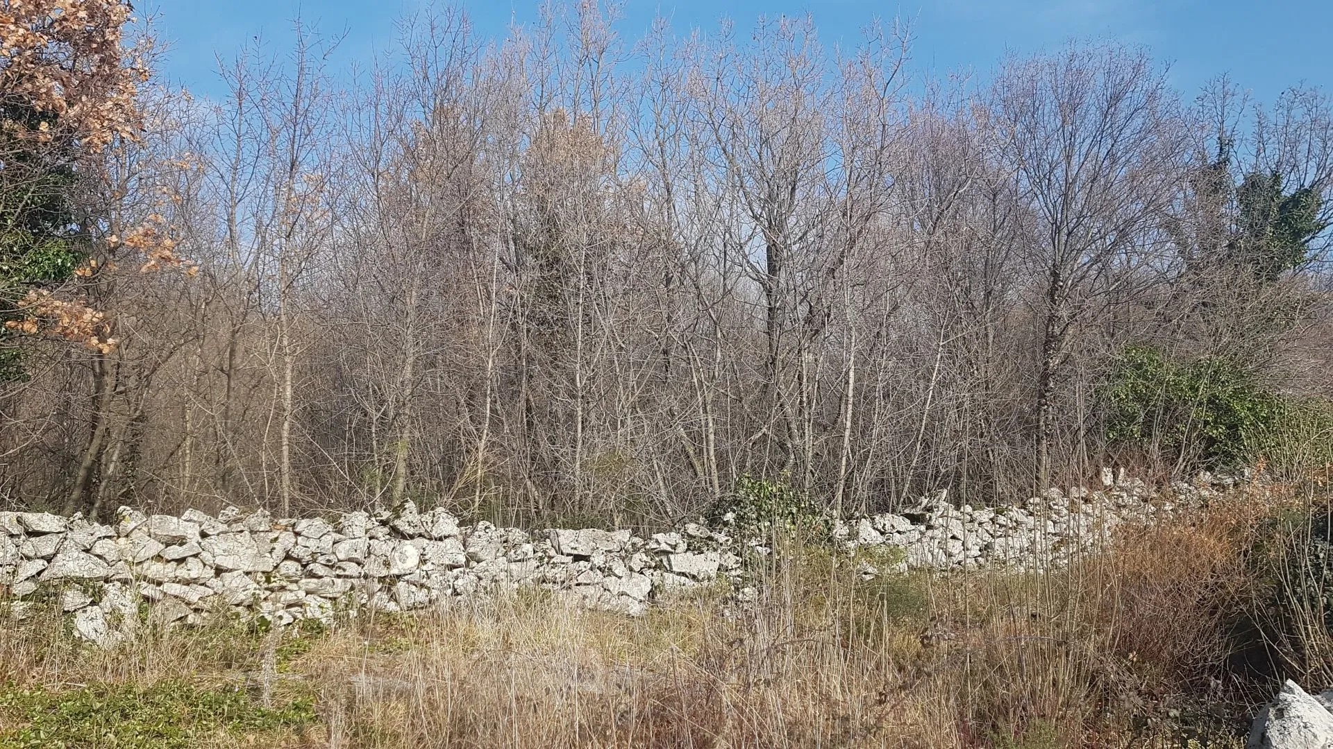 srdoči - rešetari - kastav- građ zemljište 1900m2 za stambenu (posl.-stamb) zgradu–stanove /apartmane /obiteljsku kuću / villu - slika 2