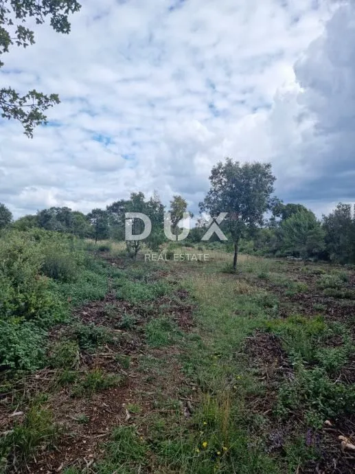 istra, kavran - vikend zemljišta 4067m2! - slika 2