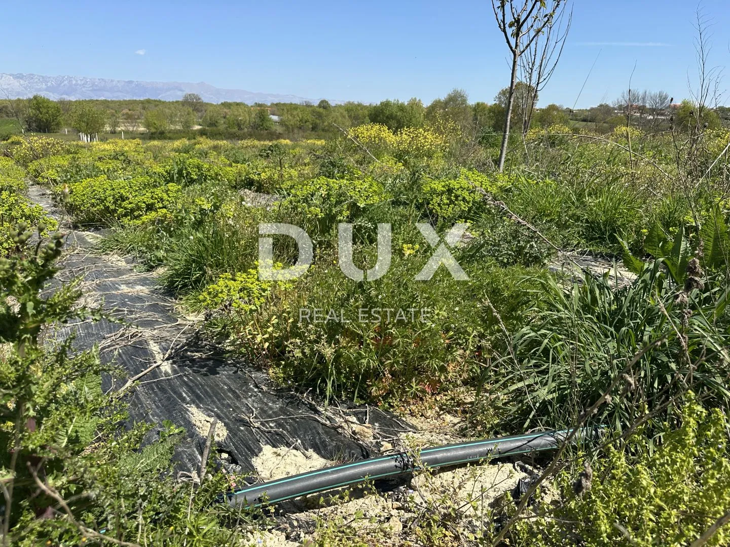 zadar, murvica - poljoprivredno zemljište s potencijalom - 3000m² - slika 7