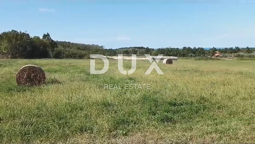 ISTRA, BRTONIGLA - Prekrasna livada površine 7596 m2
