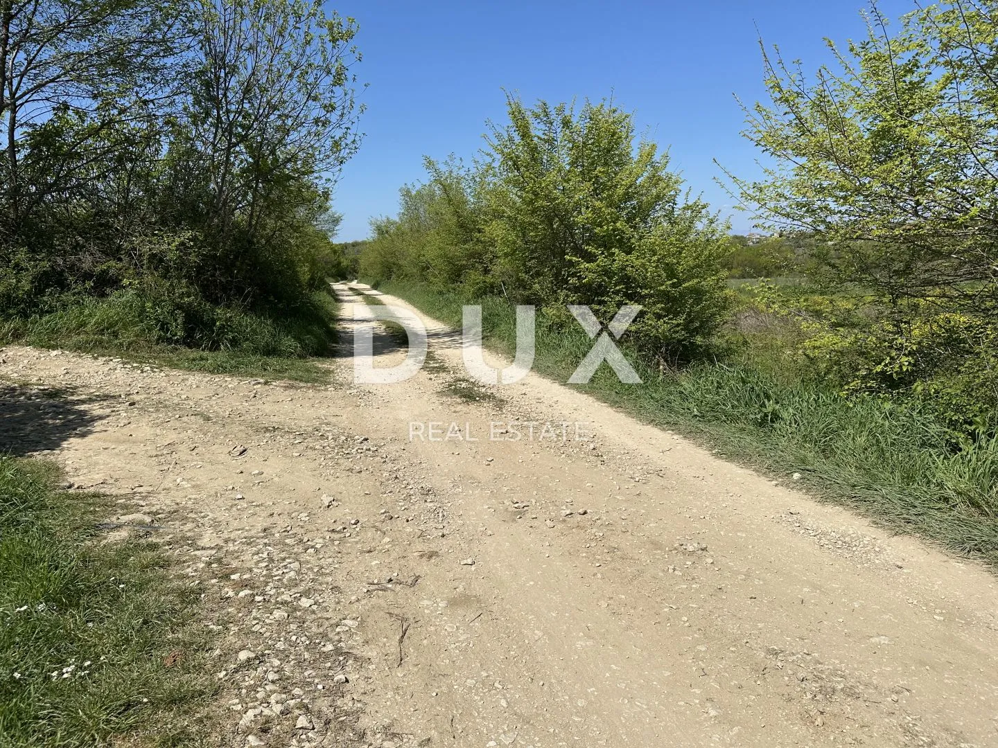 zadar, murvica - poljoprivredno zemljište s potencijalom - 3000m² - slika 9