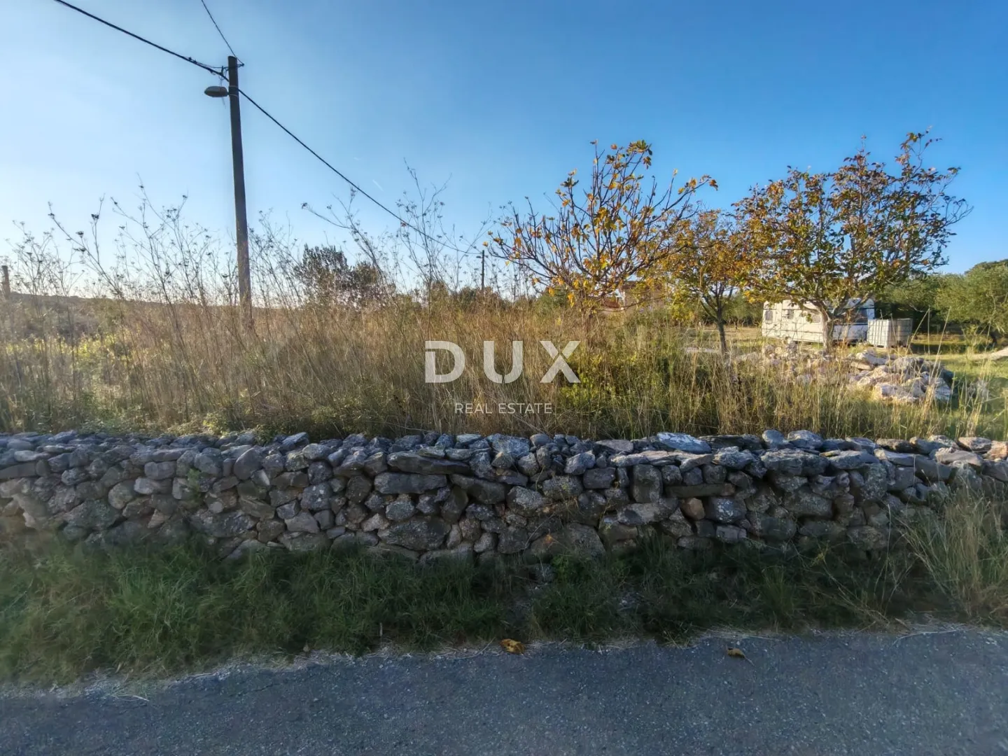 zadar, pridraga - prilika! maslinik na građevinskom terenu - slika 3