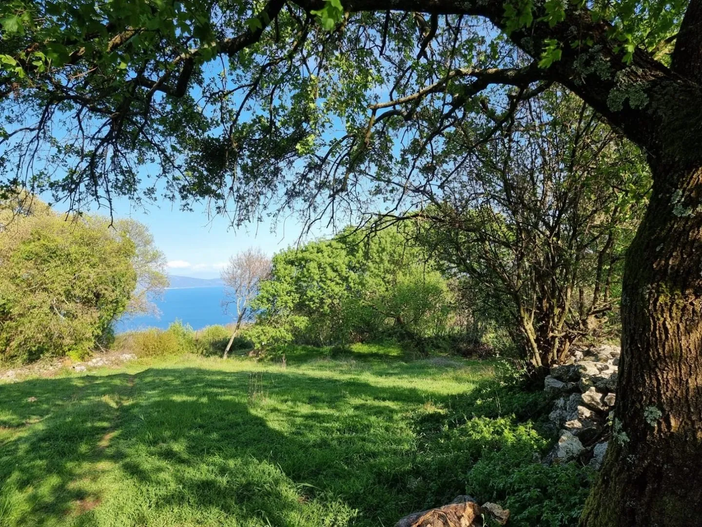 istra, rabac - prostrano imanje na očaravajućoj lokaciji - slika 3