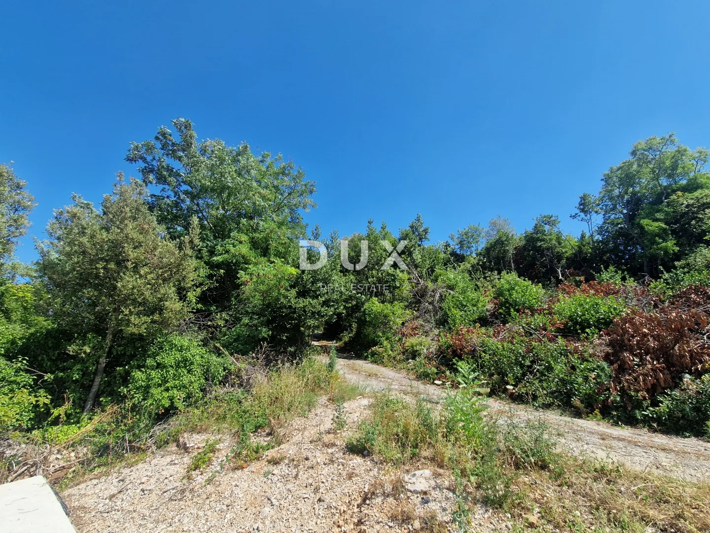 pelješac, popova luka, poljoprivredno zemljište 190.000m² - slika 6