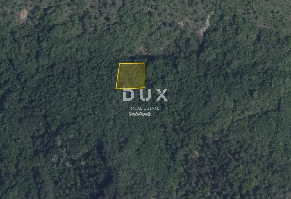 ISTRA, PAZIN, CEROVLJE – Zemljište 1.075 m², šuma - Novaki Pazinski, Cerovlje