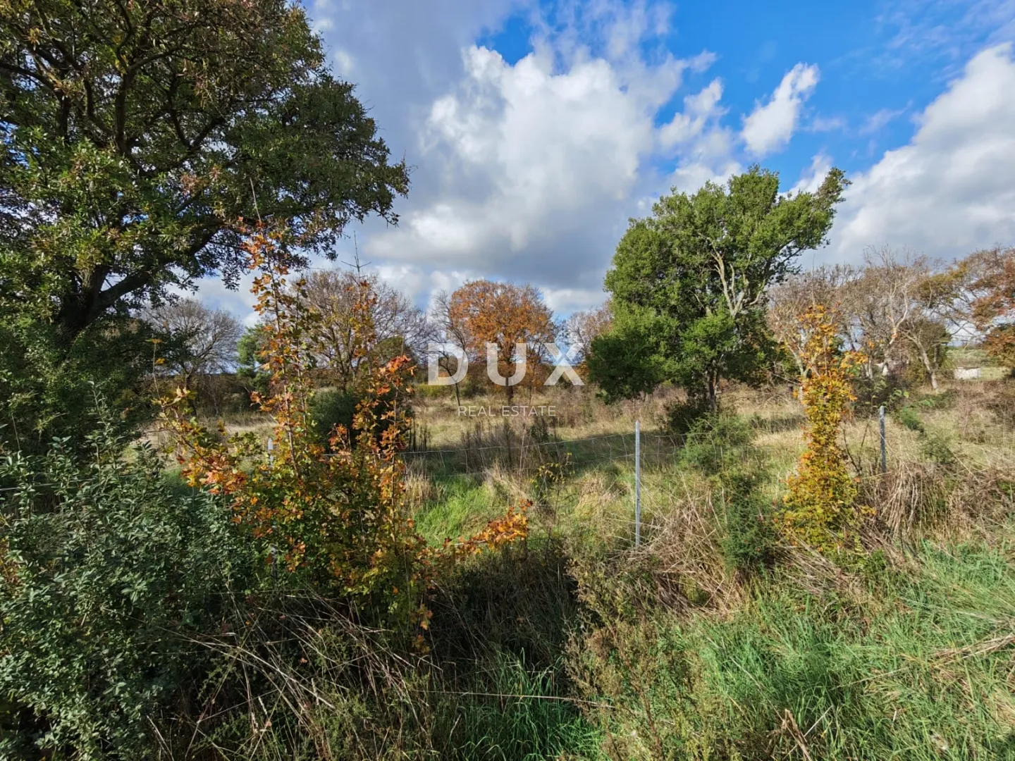 istra, pula - prostrano poljoprivredno zemljište 11420m2! - slika 6