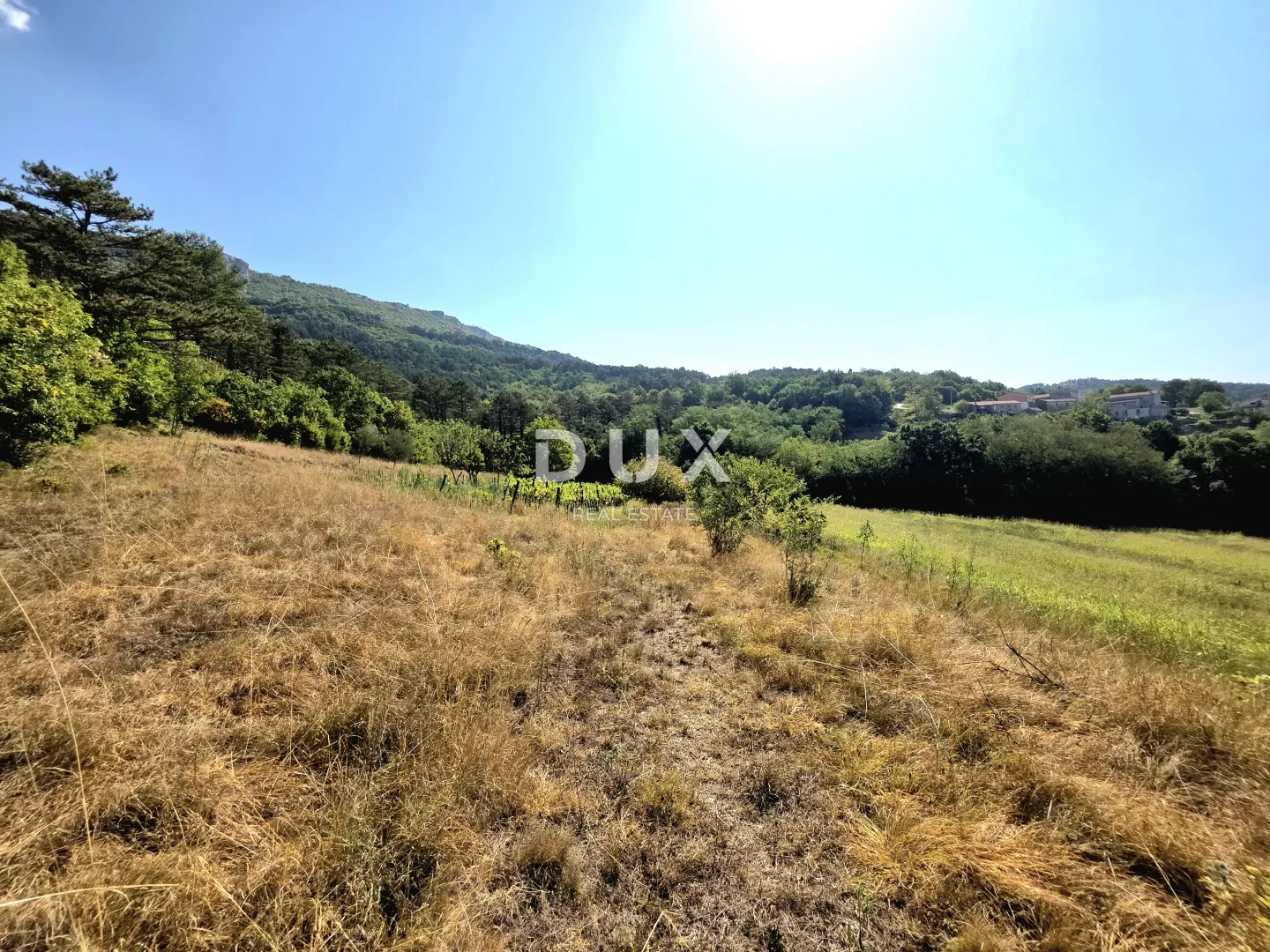 istra, buzet, kuća, 160 m2, stancija s 26724 m2 zemljišta - slika 39