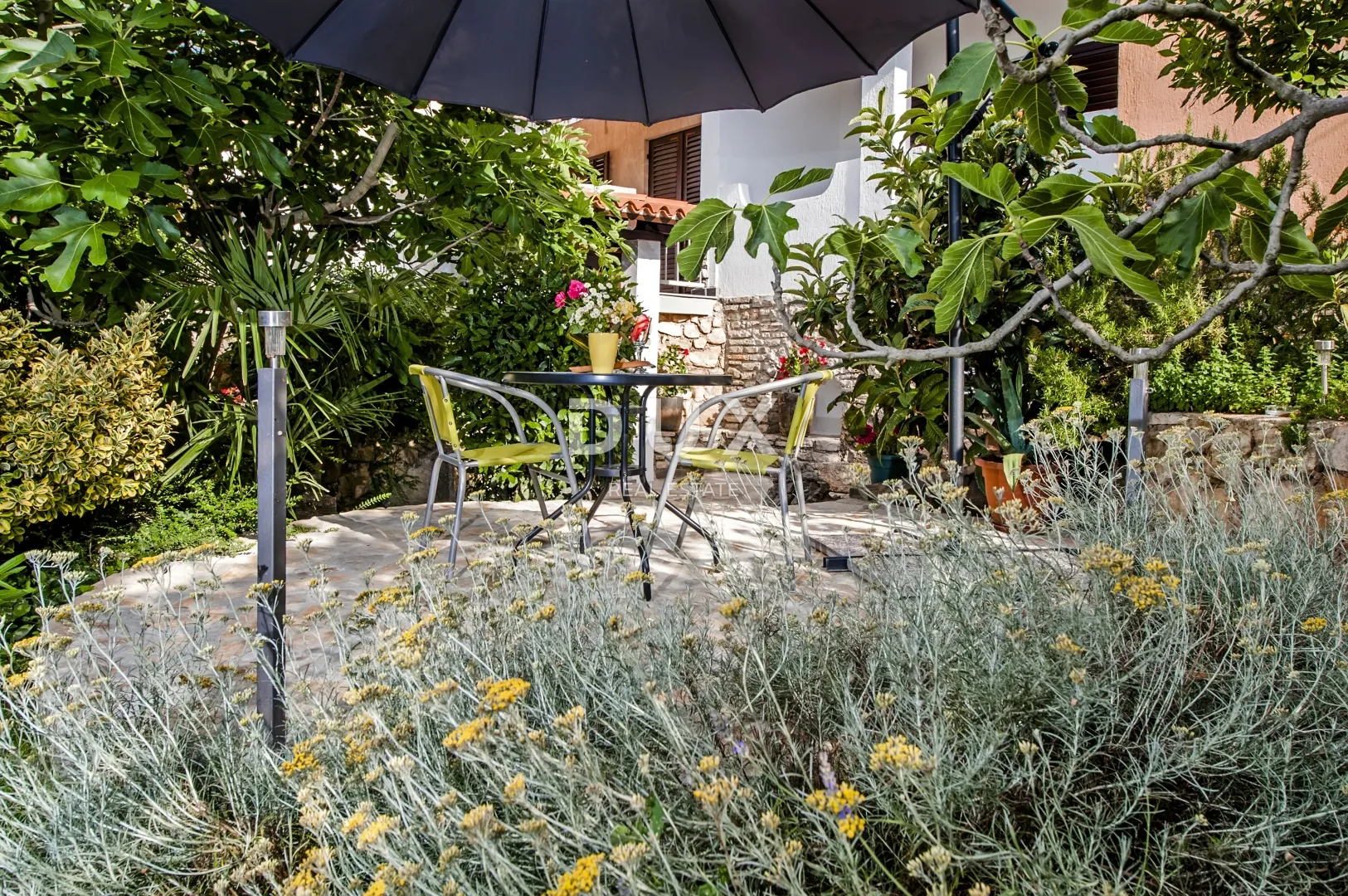 istra, rovinj - apartmanska kuća s prekrasnim vrtom - slika 2