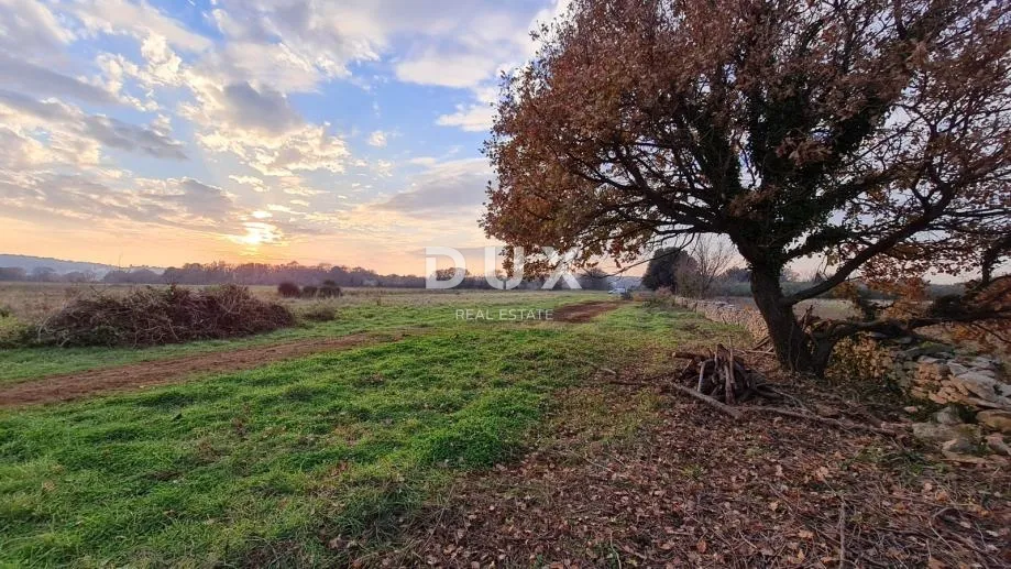 istra, pula - poljoprivredno zemljište 3700 m2 - slika 5