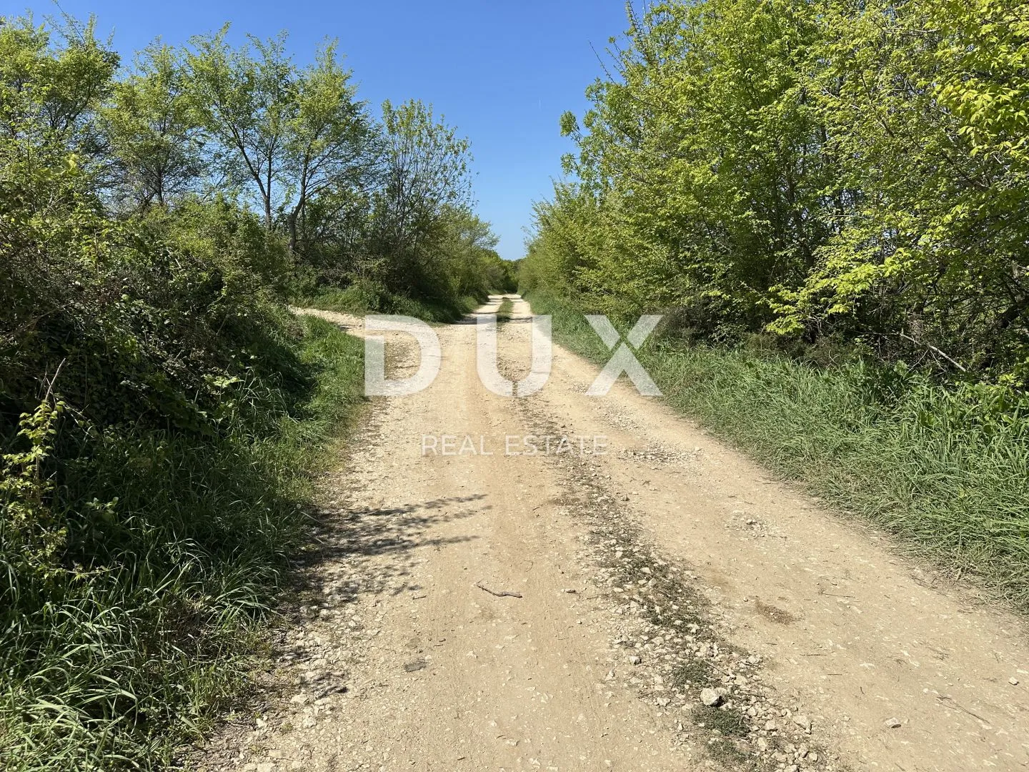 zadar, murvica - poljoprivredno zemljište s potencijalom - 3000m² - slika 11