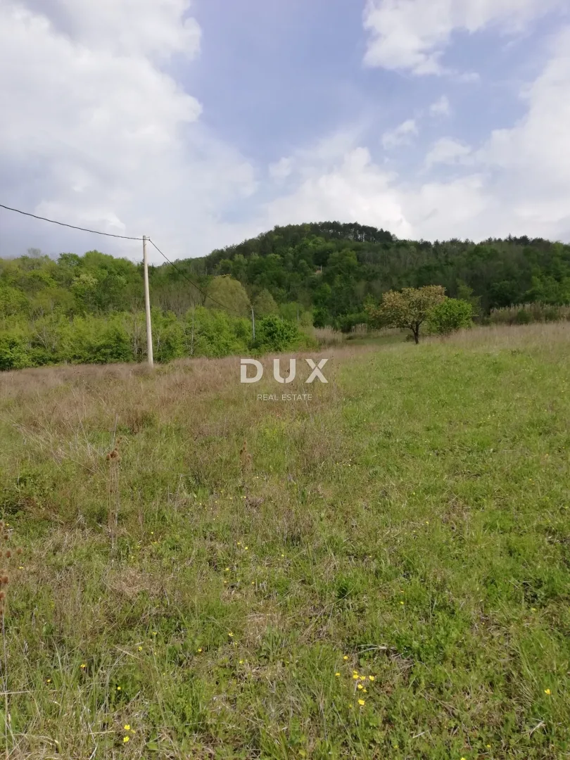 istra, motovun, zemljište, 53 183 m2, mještovite namjene - slika 29