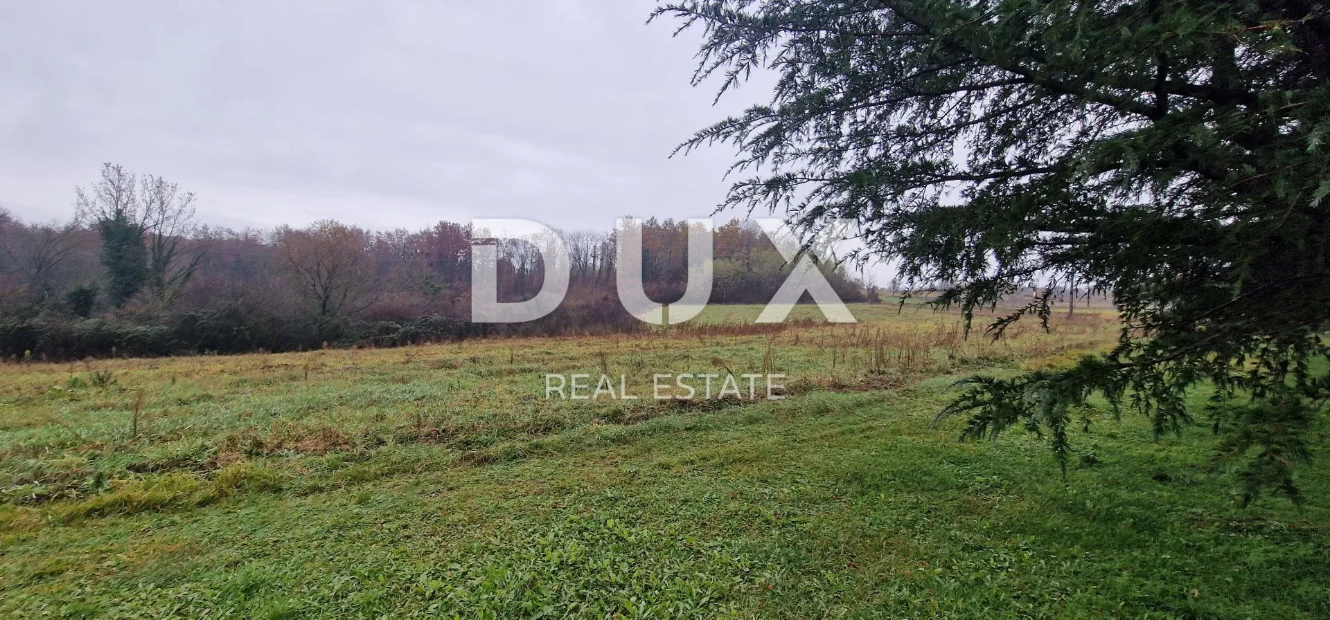 ISTRA, PAZIN - Poljoprivredno zemljište površine 10.000 m2