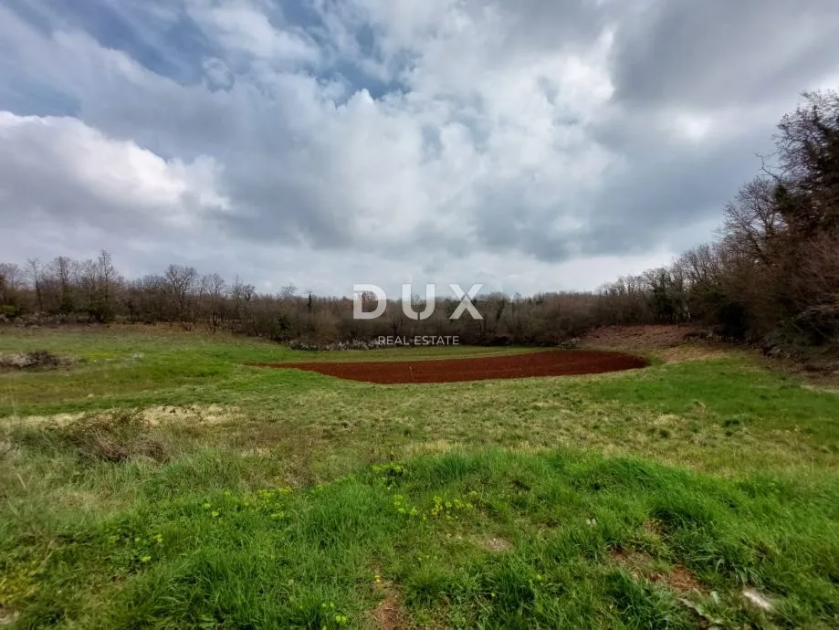 istra, tinjan - zemljište s građevinskom dozvolom - slika 17