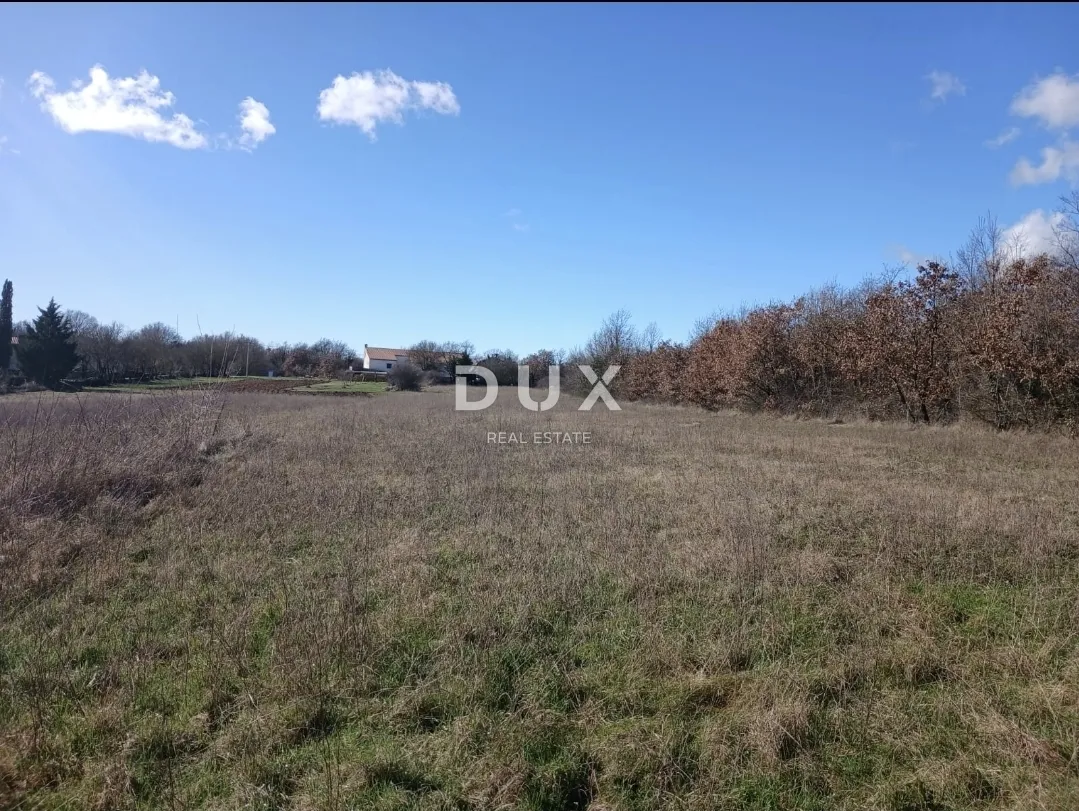 ISTRA, ŽMINJ - Investicijsko zemljište 5.500 m² s potencijalom prenamjene