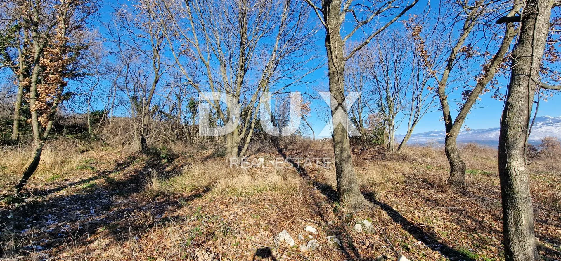 istra, labin, pićan - potpuna osama i prekrasan pogled!! građevinsko zemljište 750m2 i poljoprivredno 692 m2 - slika 31