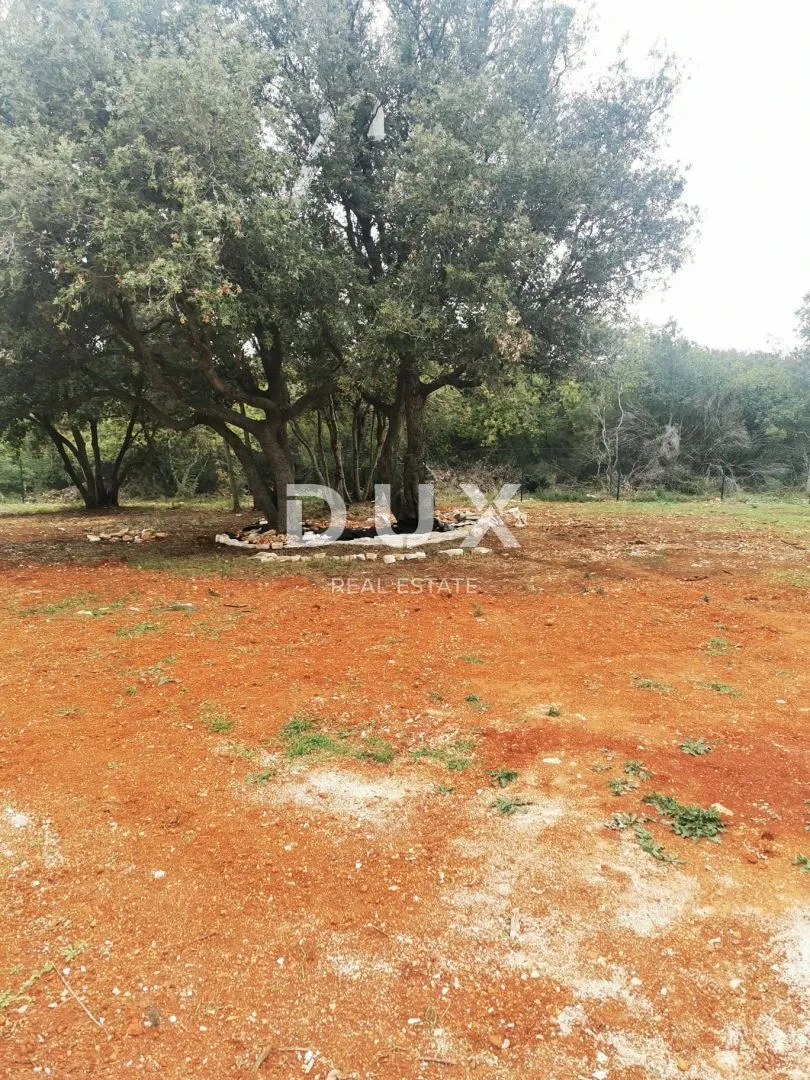 istra, pula - posebna poljoprivredna parcela s pogledom! - slika 5