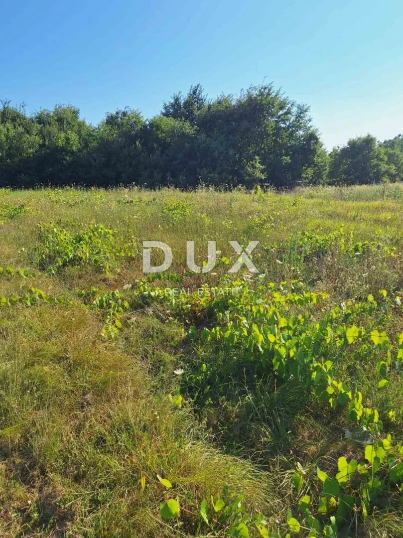 istra, labin - samostojeća kuća na rubu naselja - slika 8