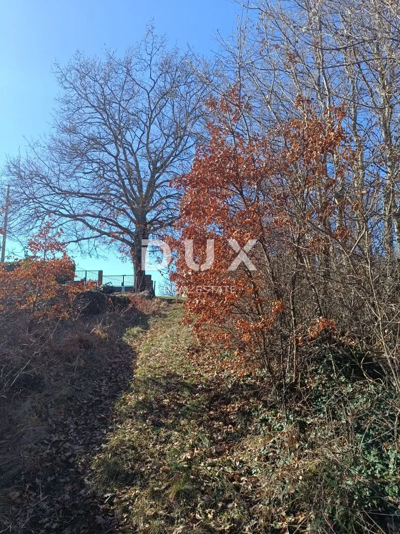 ISTRA, ŠTOKOVCI Građevinsko zemljište u Režancima 2081 m2 - Štokovci, Svetvinčenat