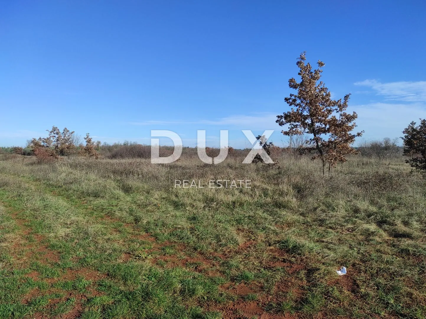 ISTRA, UMAG - Građevinsko zemljište 900m od mora