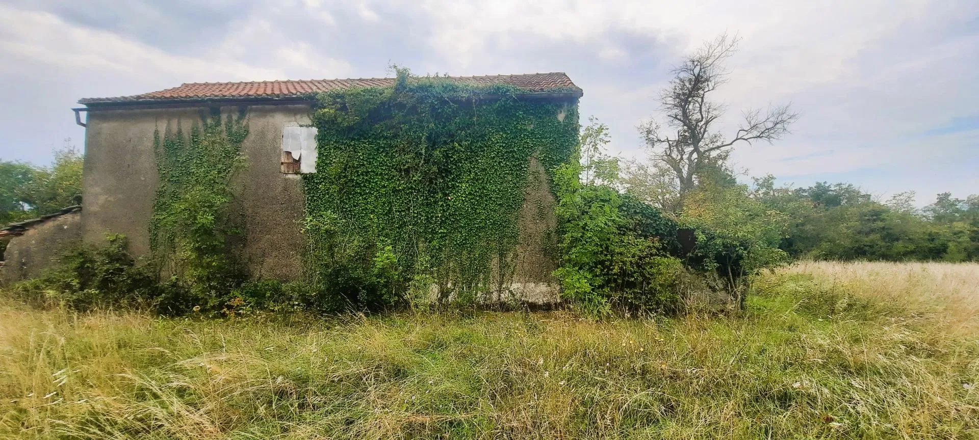istra, žminj - kuća na osami na prostranoj okućnici - slika 6