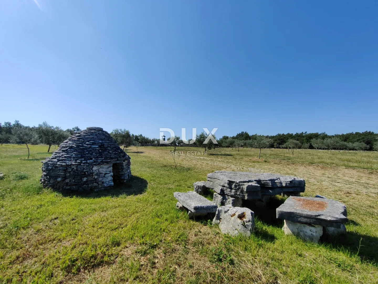 istra, vodnjan - autentičan maslinik s dušom - slika 5