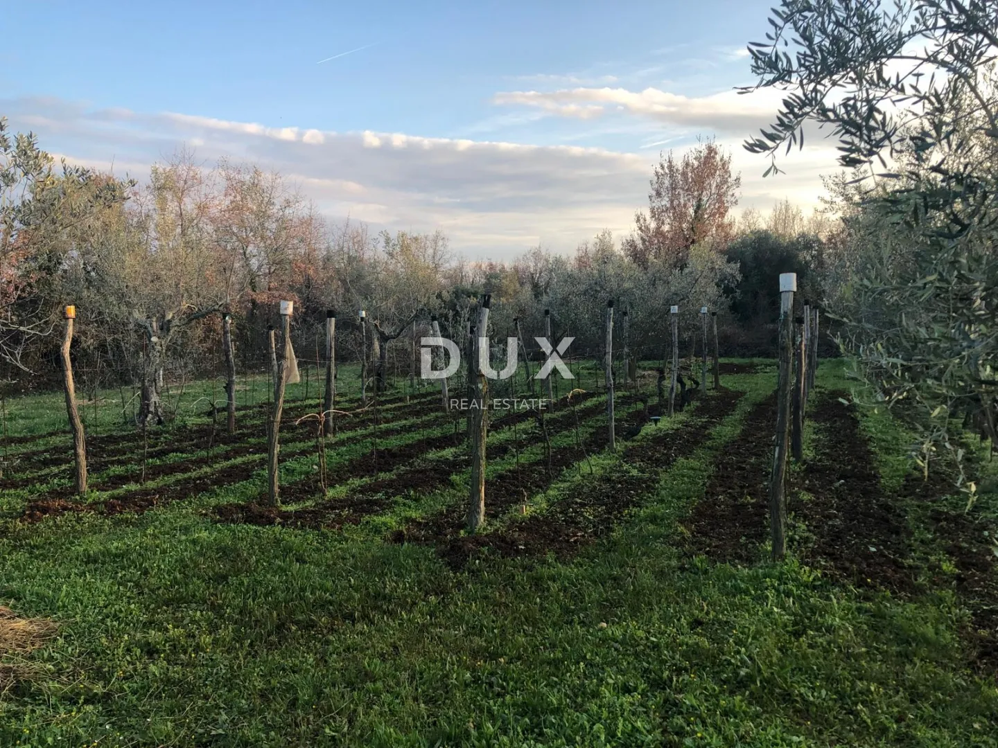 istra, brtonigla, kuća, 181 m², 2.461 m² okućnice - slika 22