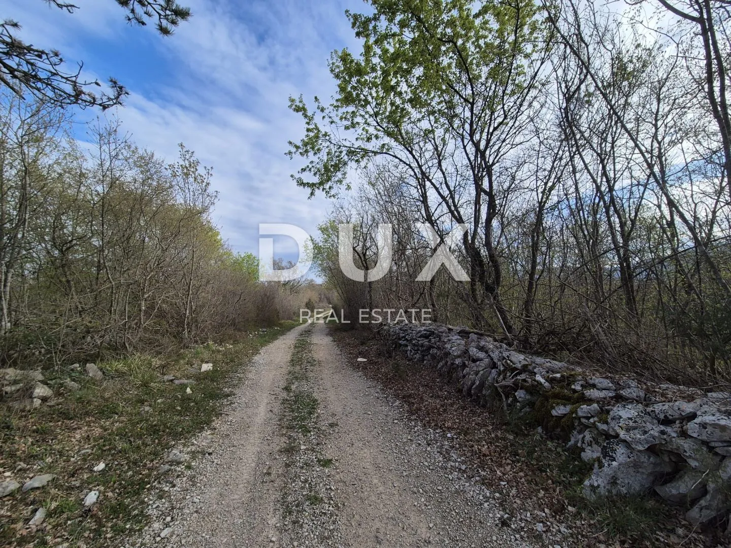 istra, labin - mlada šuma od 4 hektara - slika 4