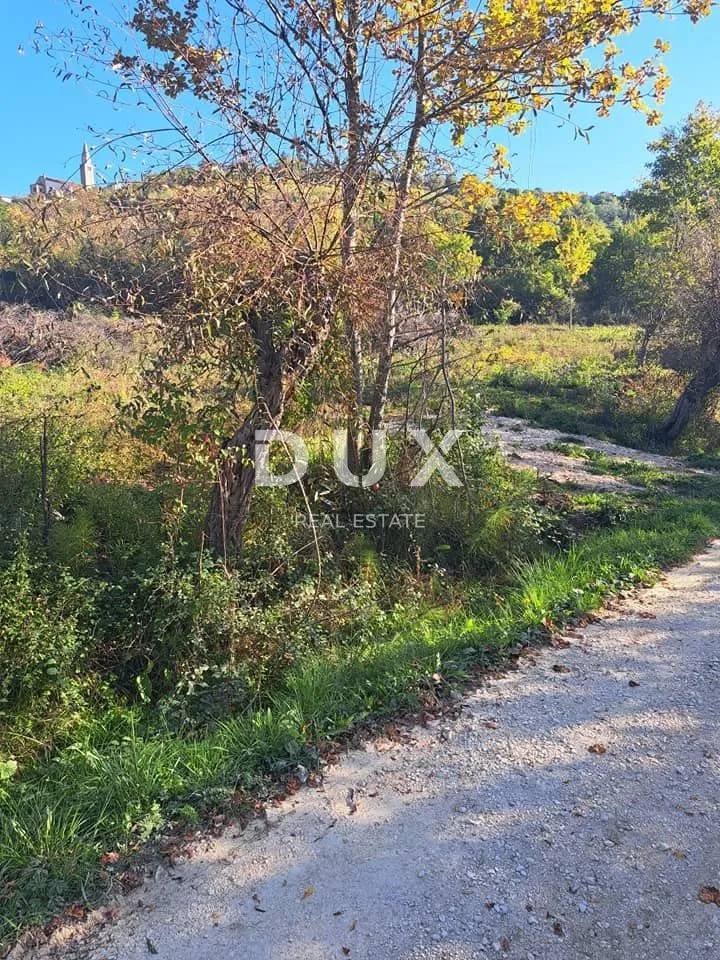 istra,buje - poljoprivredno zemljište - slika 3
